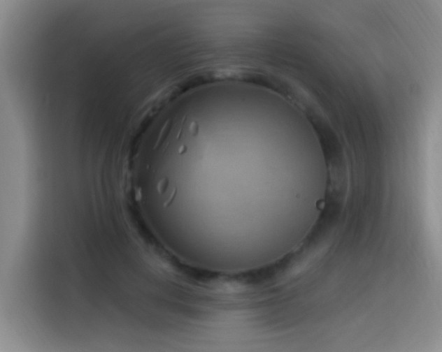X0000114020648200910021418