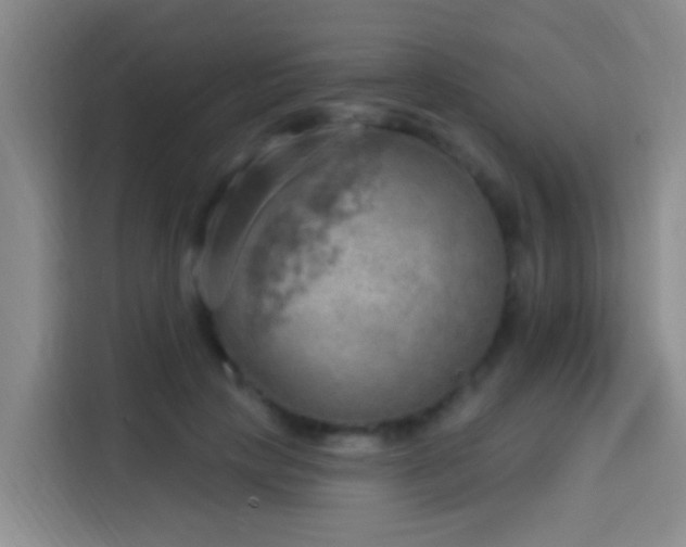 X0000114020649200910021418