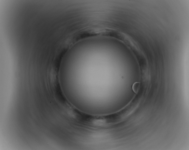 X0000114020653200910021418