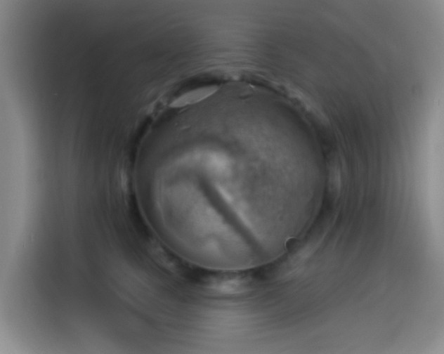 X0000114020661200910021418