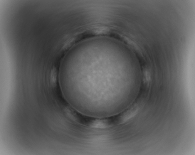 X0000114020664200910021418
