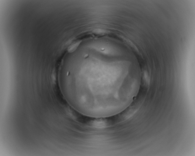 X0000114020668200910021418