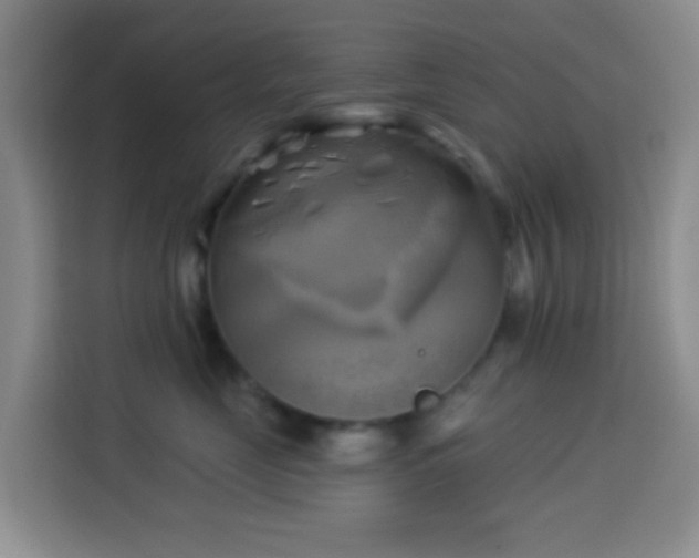 X0000114020669200910021418