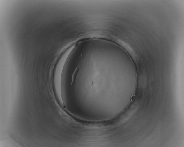 X0000114020673200910021418