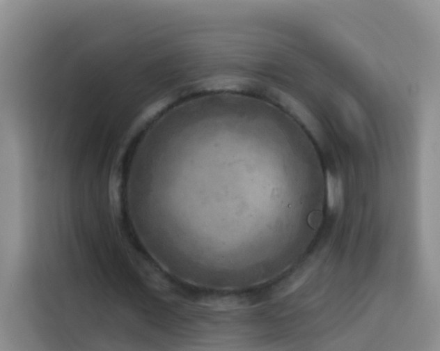 X0000114020675200910021418