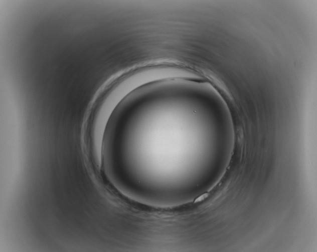 X0000114020676200910021418
