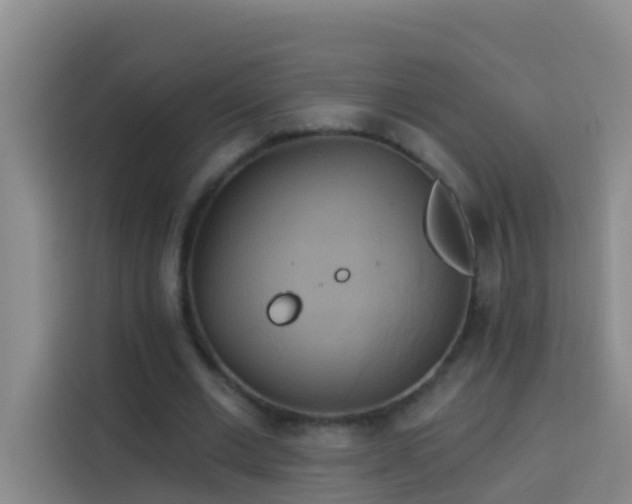 X0000114020677200910021418