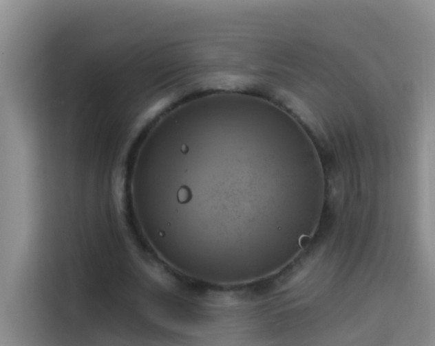 X0000114020679200910021418