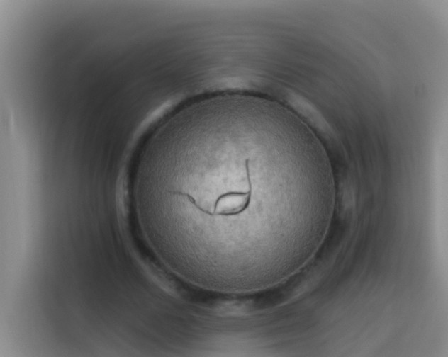 X0000114020680200910021418