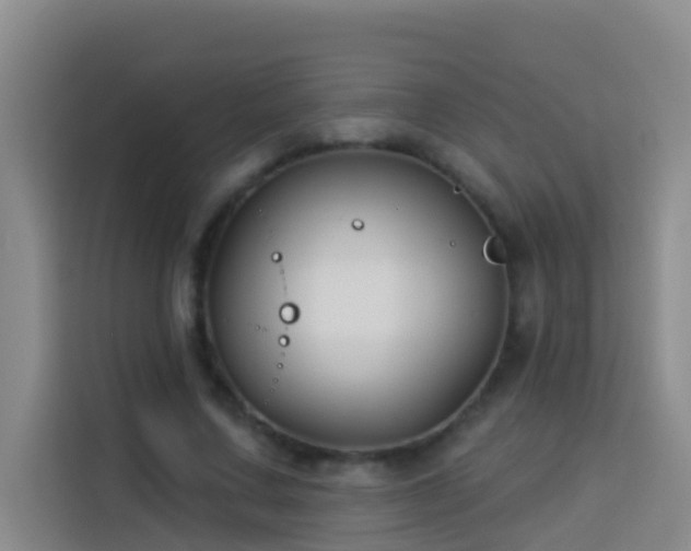 X0000114020683200910021418