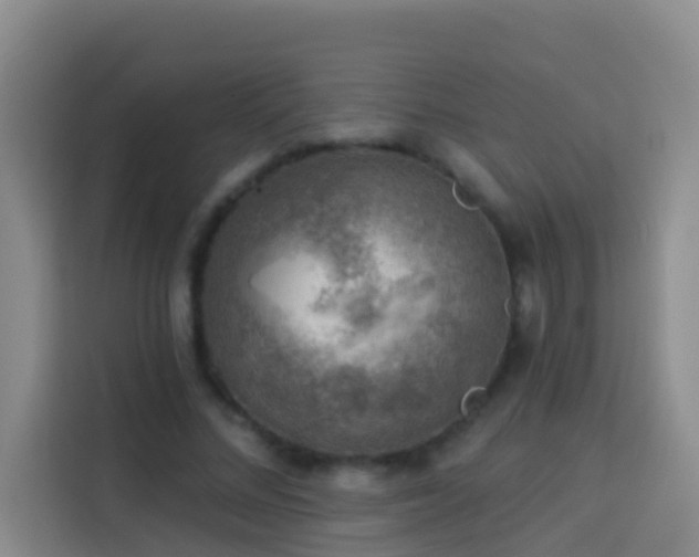 X0000114020684200910021418