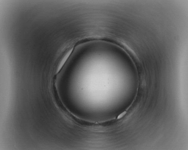 X0000114020685200910021418