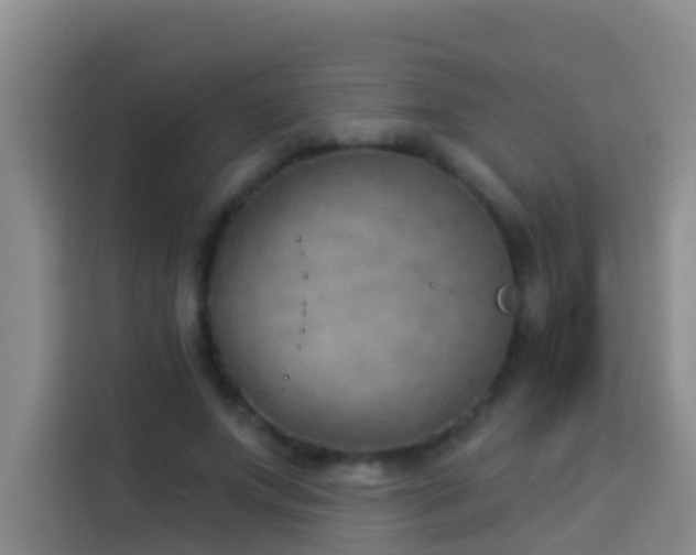 X0000114020687200910021418