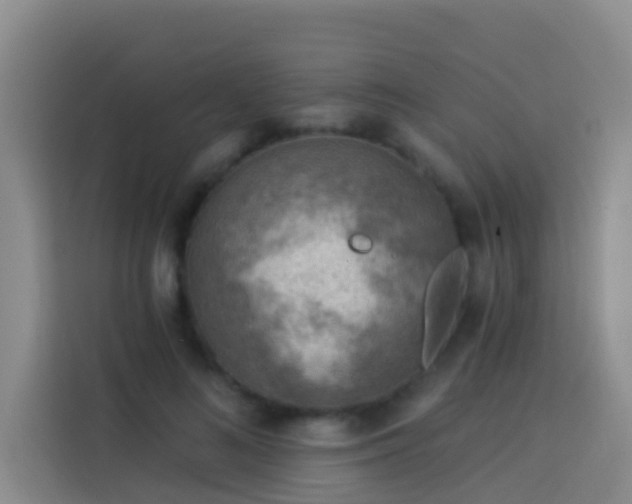 X0000114020692200910021418