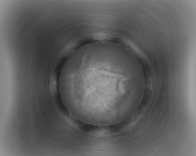 X0000114020696200910021418