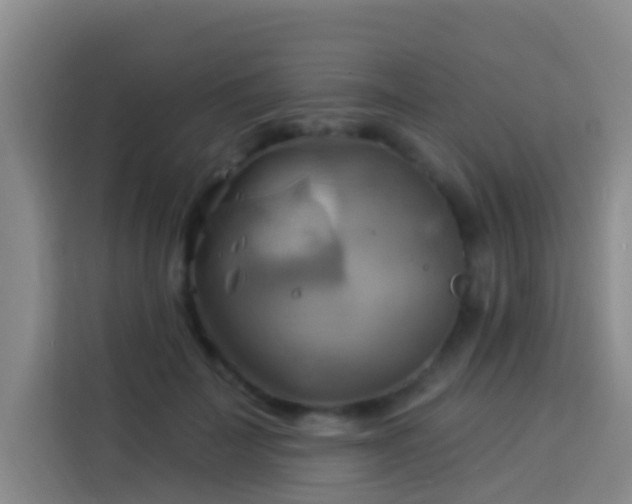 X0000114020699200910021417
