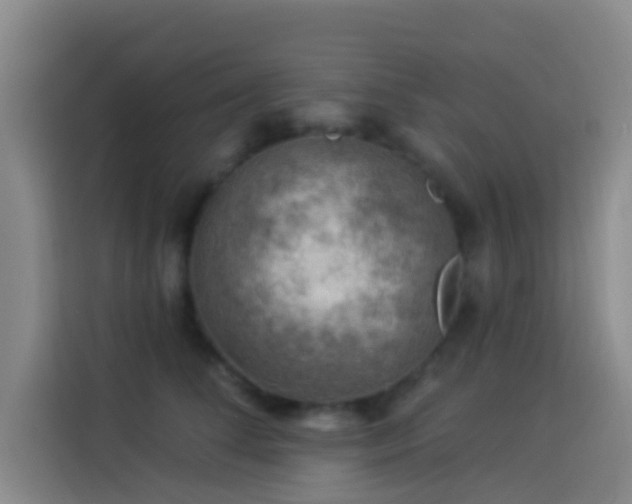 X0000114020708200910021417