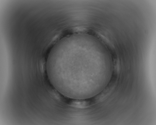X0000114020712200910021417