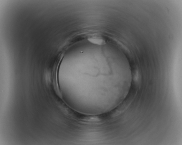 X0000114020715200910021417