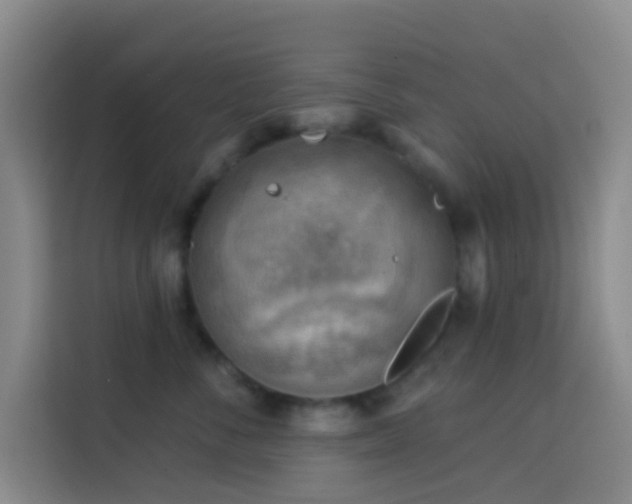 X0000114020716200910021417