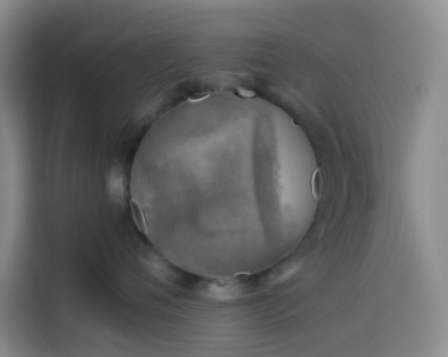 X0000114020720200910021417