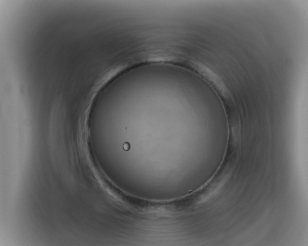 X0000114020721200910021417