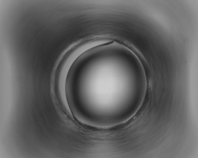 X0000114020724200910021417