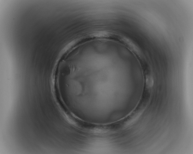 X0000114020725200910021417