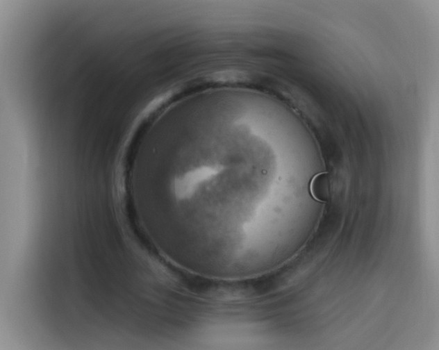 X0000114020727200910021417