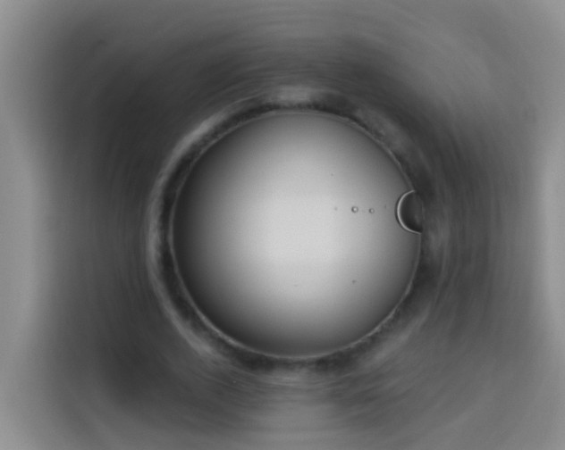X0000114020728200910021417
