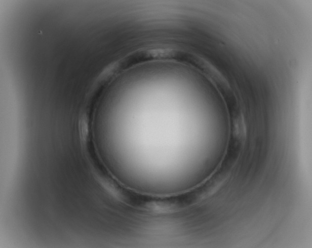X0000114020733200910021417