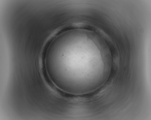 X0000114020734200910021417