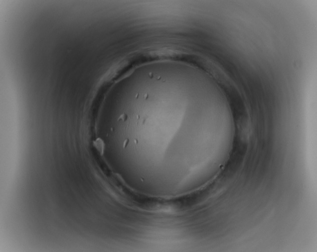 X0000114020735200910021417