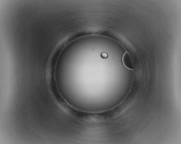X0000114020736200910021417
