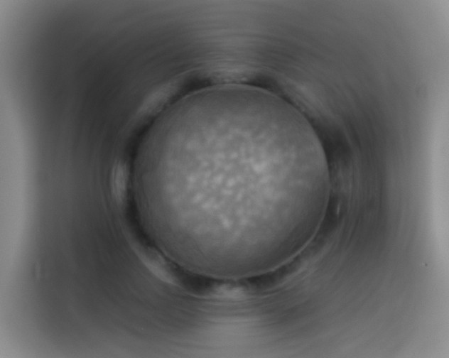 X0000114020742200910021417