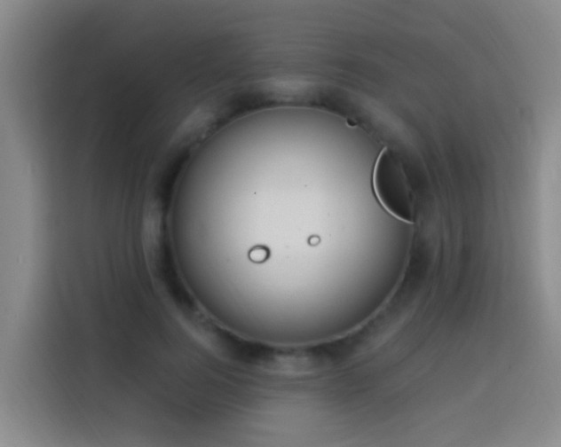 X0000114020744200910021417