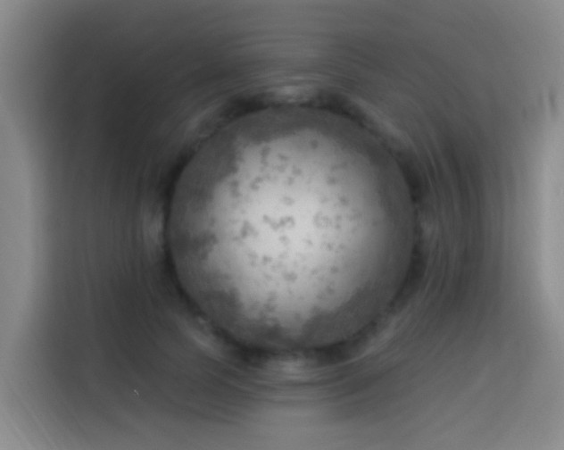 X0000114020745200910021417
