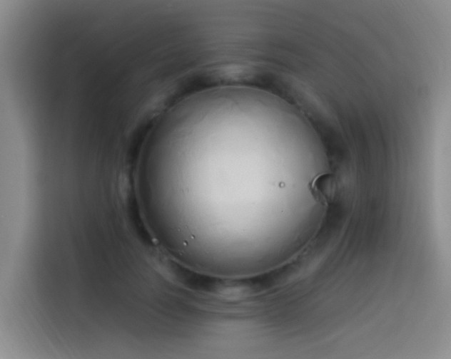 X0000114020746200910021417