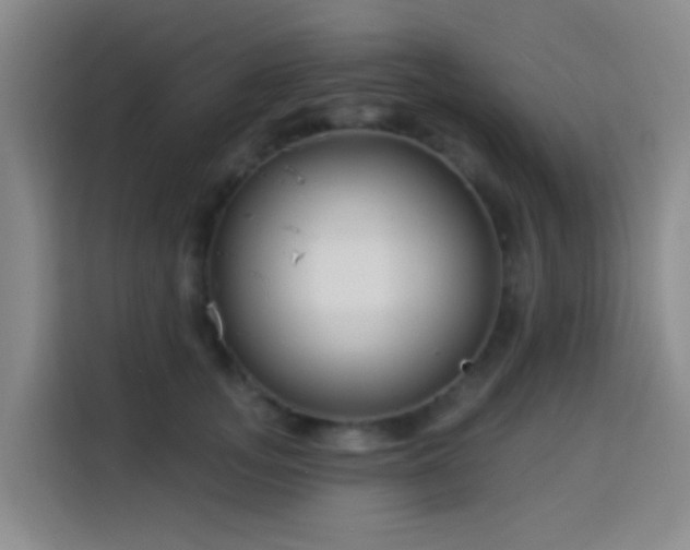 X0000114020755200910021417