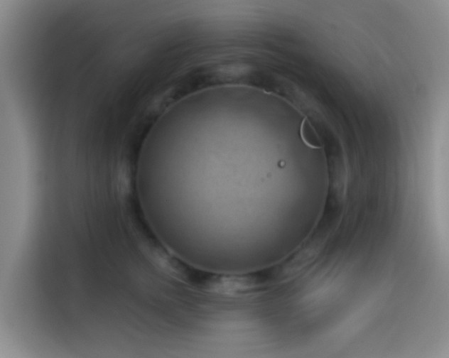 X0000114020758200910021417