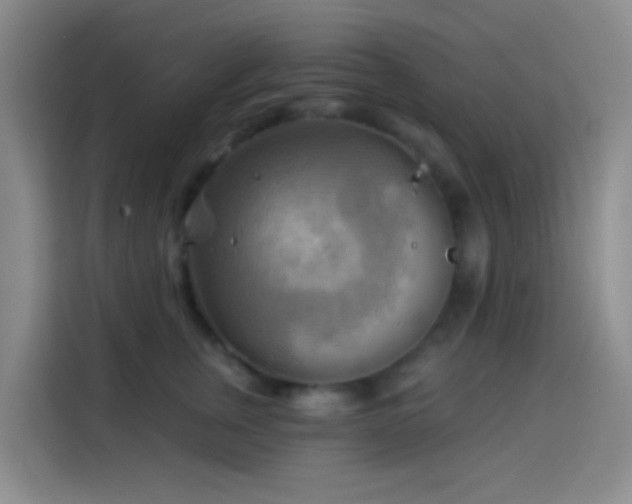 X0000114020759200910021417