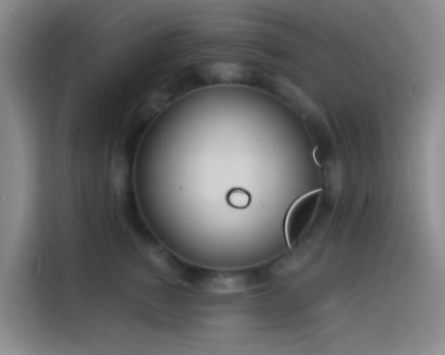 X0000114020760200910021417