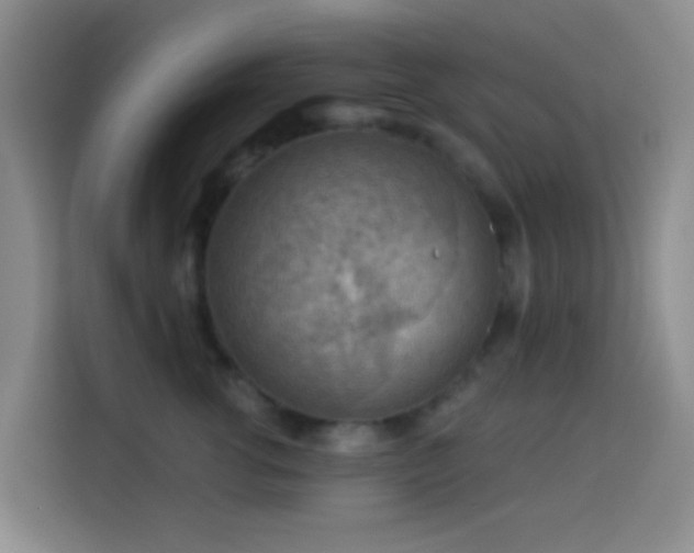 X0000114020762200910021417
