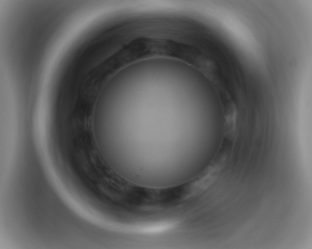 X0000114020765200910021417