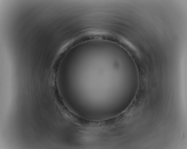 X0000114020775200910021416