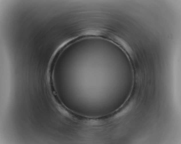 X0000114020779200910021416