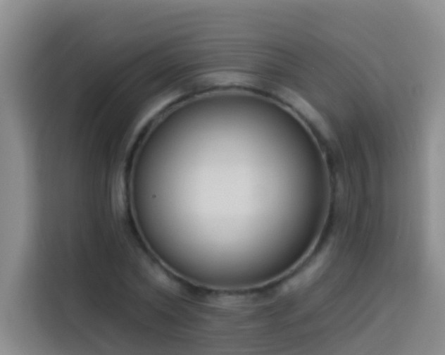X0000114020782200910021416