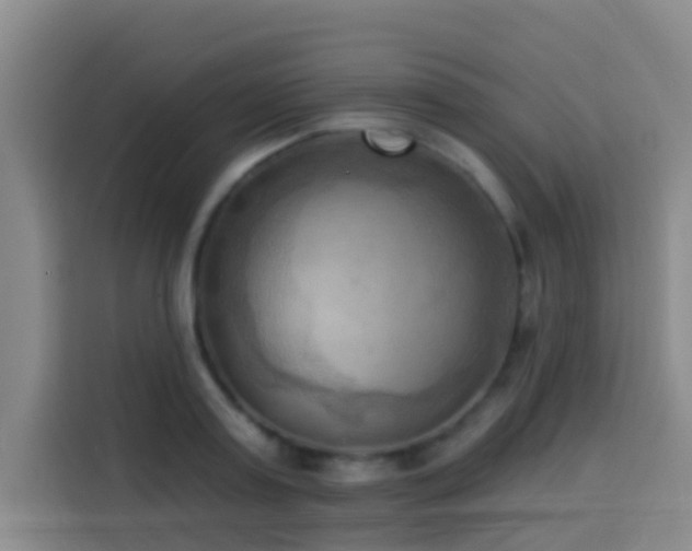 X0000114020795200910021416