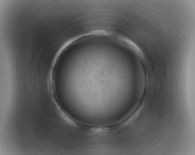 X0000114020808200910021416