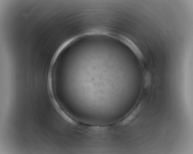 X0000114020812200910021416